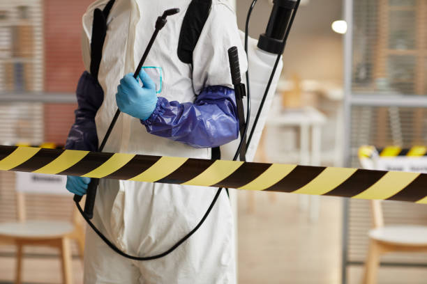 Professional Sewage Cleanup technician working in Greenfield, MO
